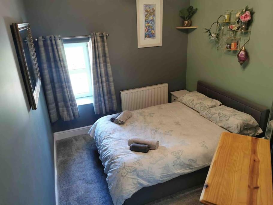 Number 7 Torquay Stunning Sea Views Appartement Buitenkant foto